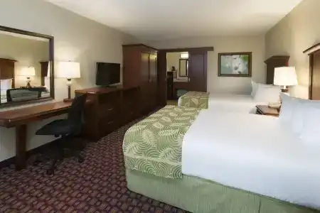 Rosen Inn at Pointe Orlando - 3