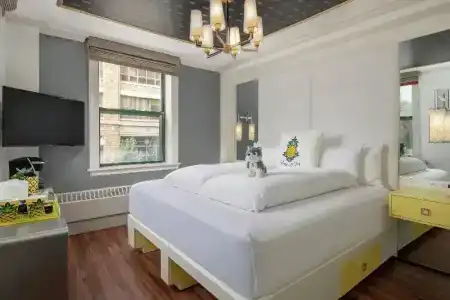 Staypineapple, A Delightful, South End - 34