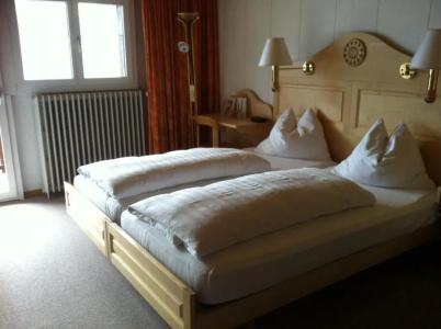 Bellevue-Wengen - Best view in town! - 69