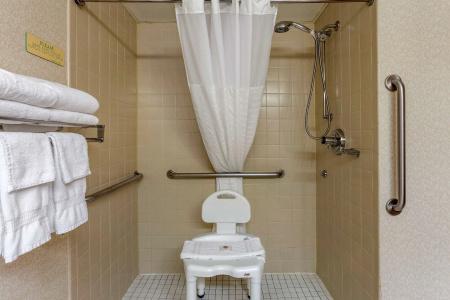 Comfort Inn at Thousand Hills - 56