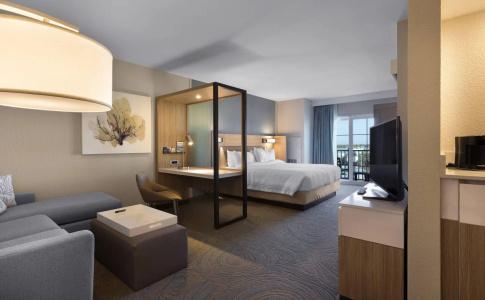SpringHill Suites by Marriott - 5