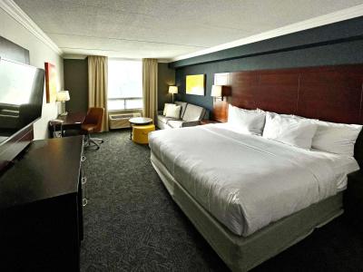 Comfort Inn & Conference Centre Airport - 3