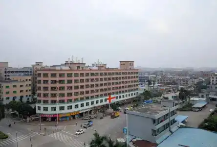 Vienna Dongguan Shi - 6