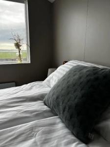 Sauðanes - 47