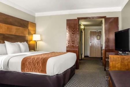 Comfort Inn & Suites - 43