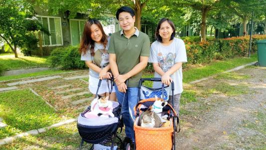 Baan Suan Him Doi - 6