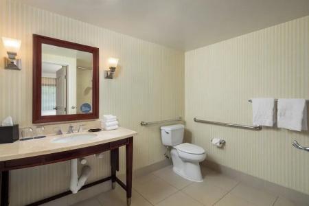 Sheraton Carlsbad Resort & Spa - 59
