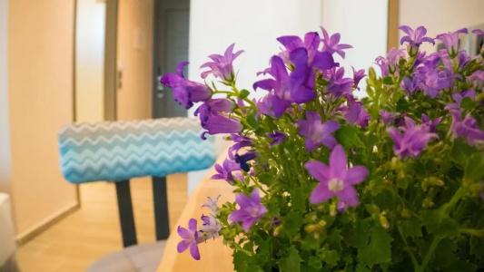 Costa Domus Blue Luxury - 203
