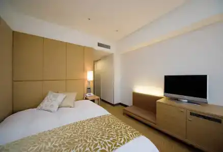 Nikko Kansai Airport - 3 mins walk to the airport - 3