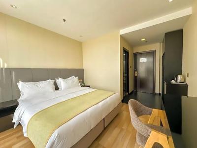 Shanghai Joyful Star(Pudong Airport/Shanghai International Resort/Free Trade Zone) - 45