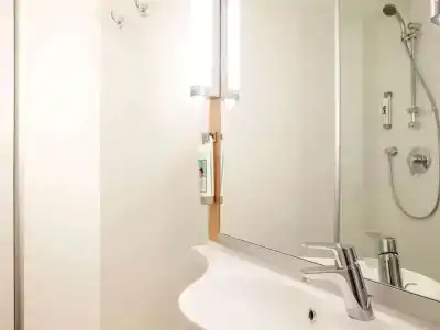 Ibis Cornella - 14