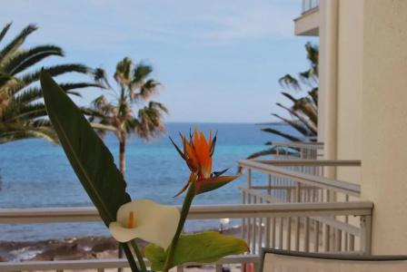 Apartamentos Alborada - 66