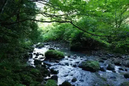 Shirasagiyu Tawaraya - 24