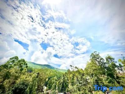 The Ella Nature Life Guest Inn - 80