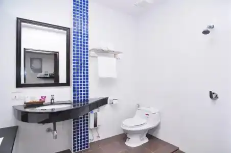 The Blueco Sha Plus - 13
