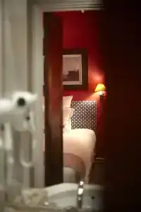 Hôtel du Danube Saint Germain - 42