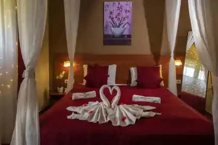 Patak Park - Adults Only - 37
