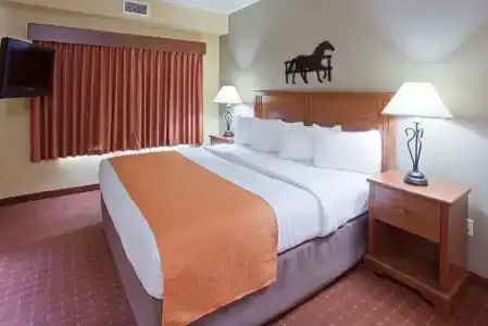 AmericInn by Wyndham Medical Center - 4