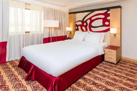 Radisson Blu - 42