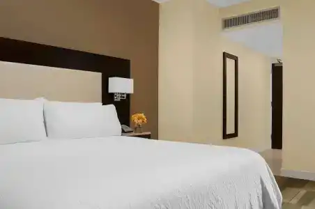 Hilton Garden Inn Times Square Central - 42