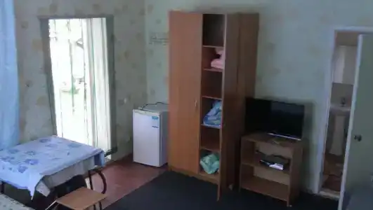 Подсолнухи - 61