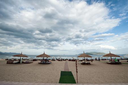 Palm Beach - 18