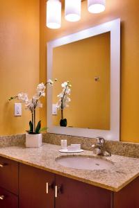 TownePlace Suites by Marriott - 50