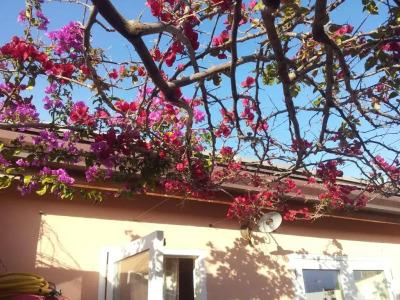 b&b l'Alberghetto - 16