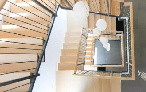 Eco Boutique Ams Beagle - 17