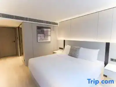 The Bauhinia - Central - 63