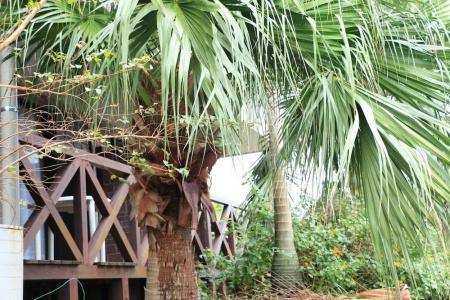 Pension Sea Forest - 11