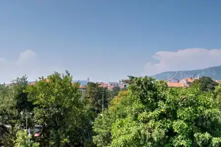 Family Lišanj - 43
