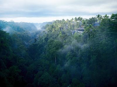 Hoshinoya Bali - 18