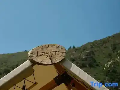 Pana Ayusai - 300