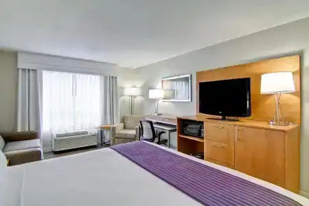 Rodeway Inn & Suites - 61