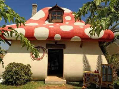 Meropi & - 49