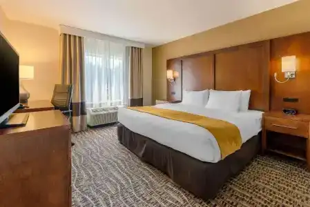 Comfort Suites - 32