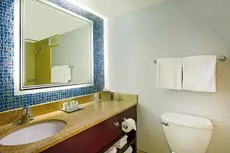 Wyndham Garden Lake Buena Vista Disney Springs® Resort Area - 42