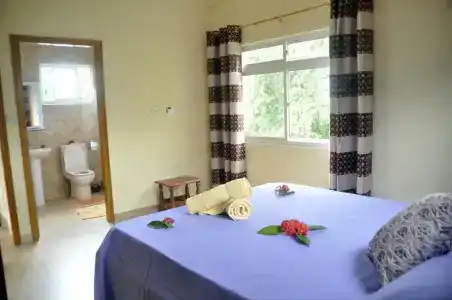 Mountain Lodge - 37