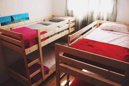 La Fresa Hostel - 29