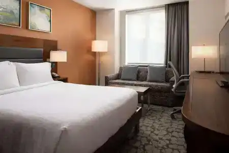 Hilton Garden Inn Long Island City - 44