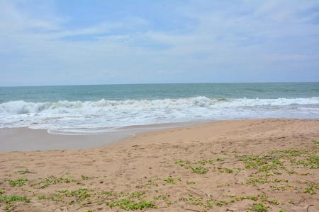 Nature Lanka Ayurveda Resort - All Meals and Ayurveda Treatments with Yoga - 14