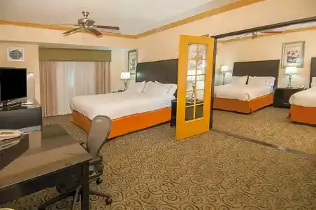 Holiday Inn Express & Suites Central - 57