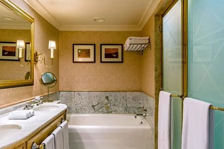 Park Tower, A Luxury Collection, Buenos Aires - 50