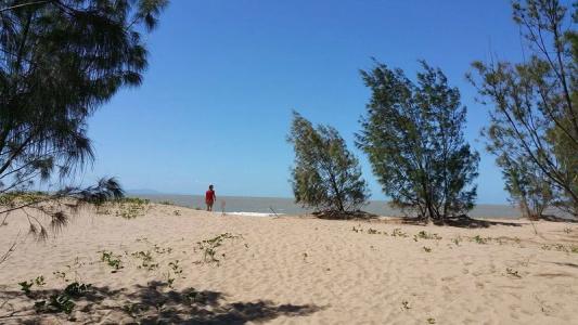 The Shores Holiday - 6