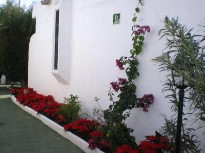 Bungalows Tenesoya Gay Men Only - 9