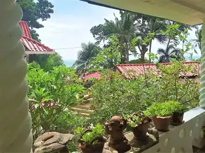 Top Resort - 207