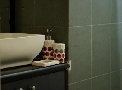 The Bouvice - 32