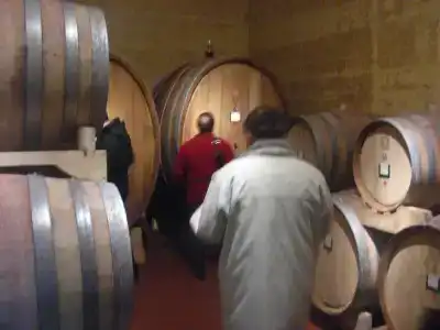 Tenuta Moriano - 16