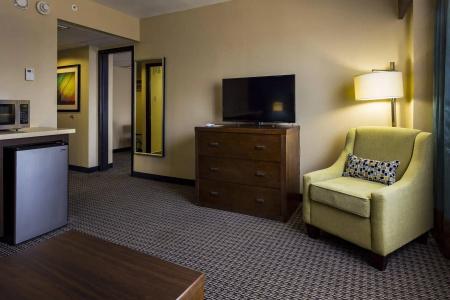 Holiday Inn Houston Downtown, An Ihg - 3